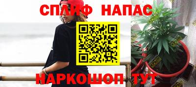 прущие грибы Бузулук