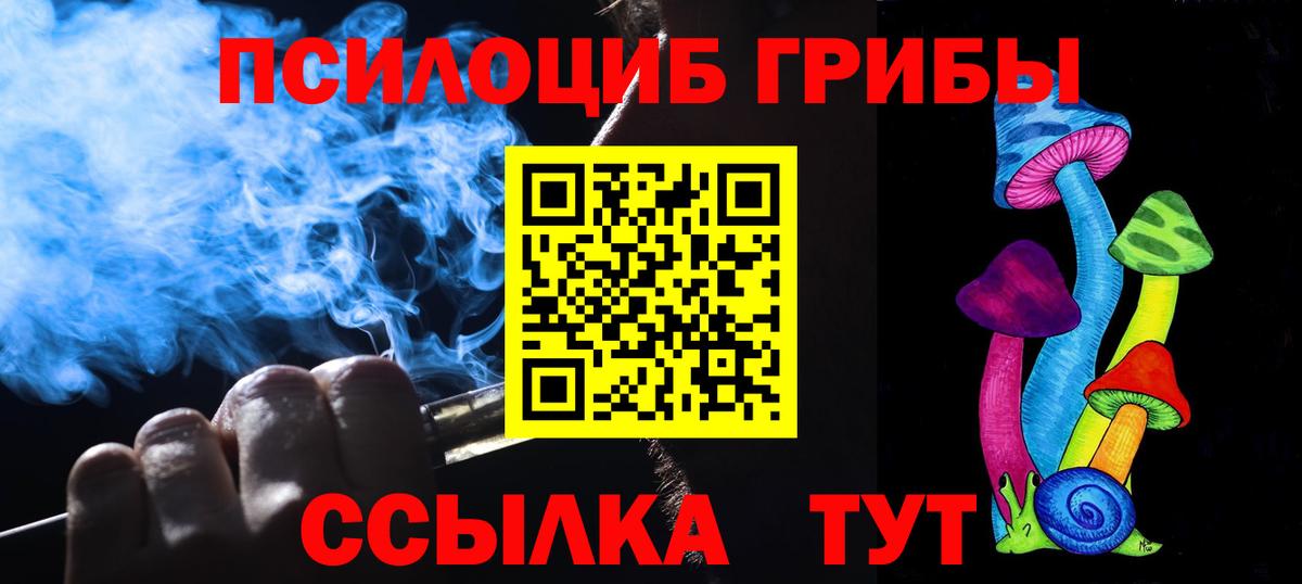 где можно купить   Вход с VPN  Красноармейск  Галлюциногенные грибы Magic Shrooms 